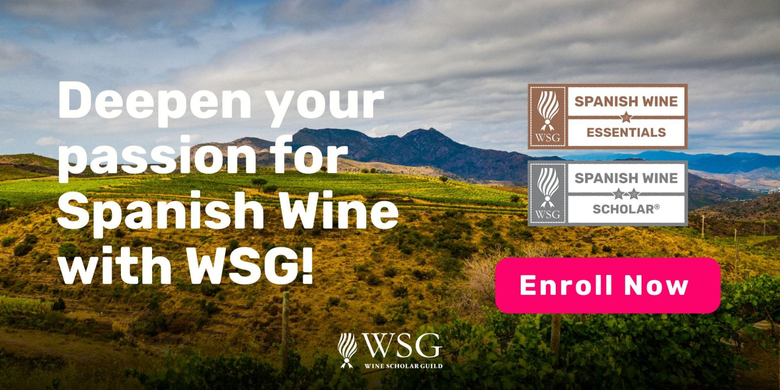 Spanish Certification with WSG